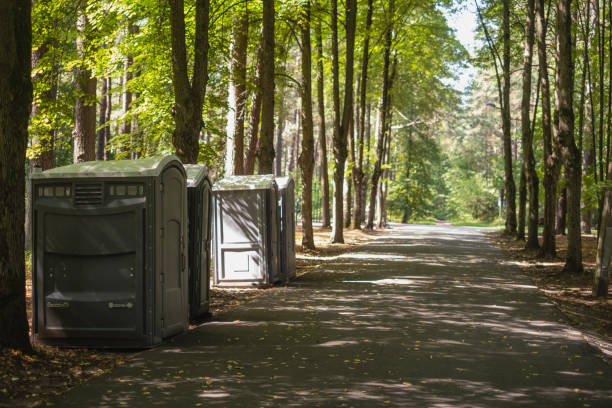 Best Portable sink rental  in Hilmar Irwin, CA